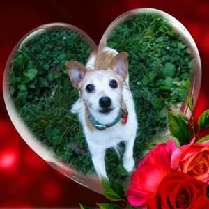 Meet your Posher, Marc